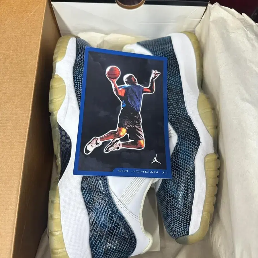 조던11 jordan 11 low navy snakeskin 2001