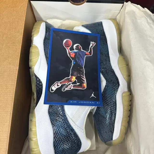 조던11 jordan 11 low navy snakeskin 2001