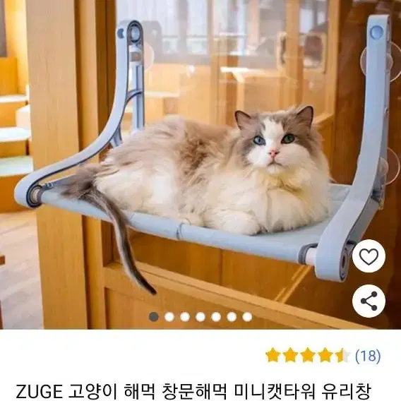 튼튼한 고양이해먹