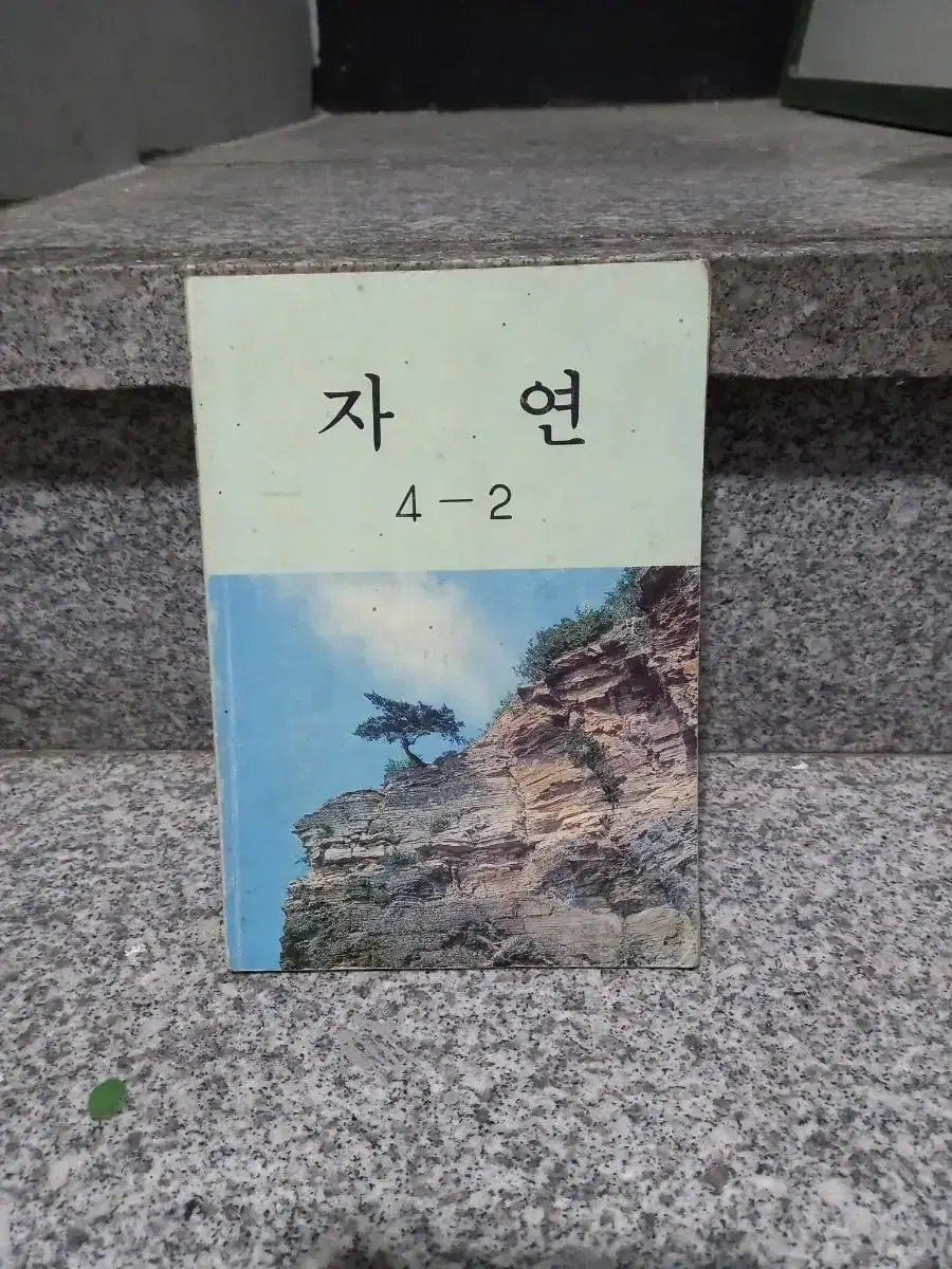 1991년 자연교과서