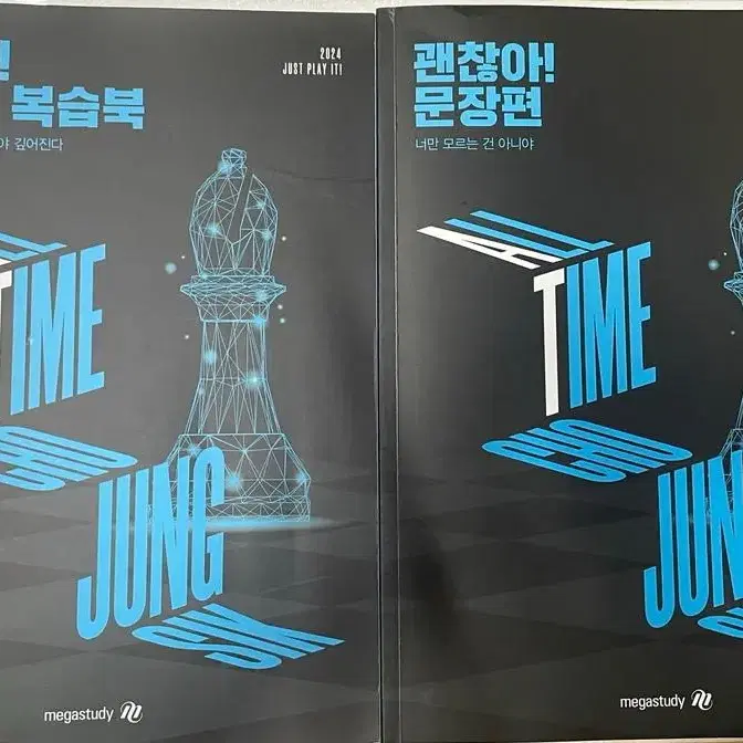 메가스터디 2024 괜찮아 문장편 조정식T