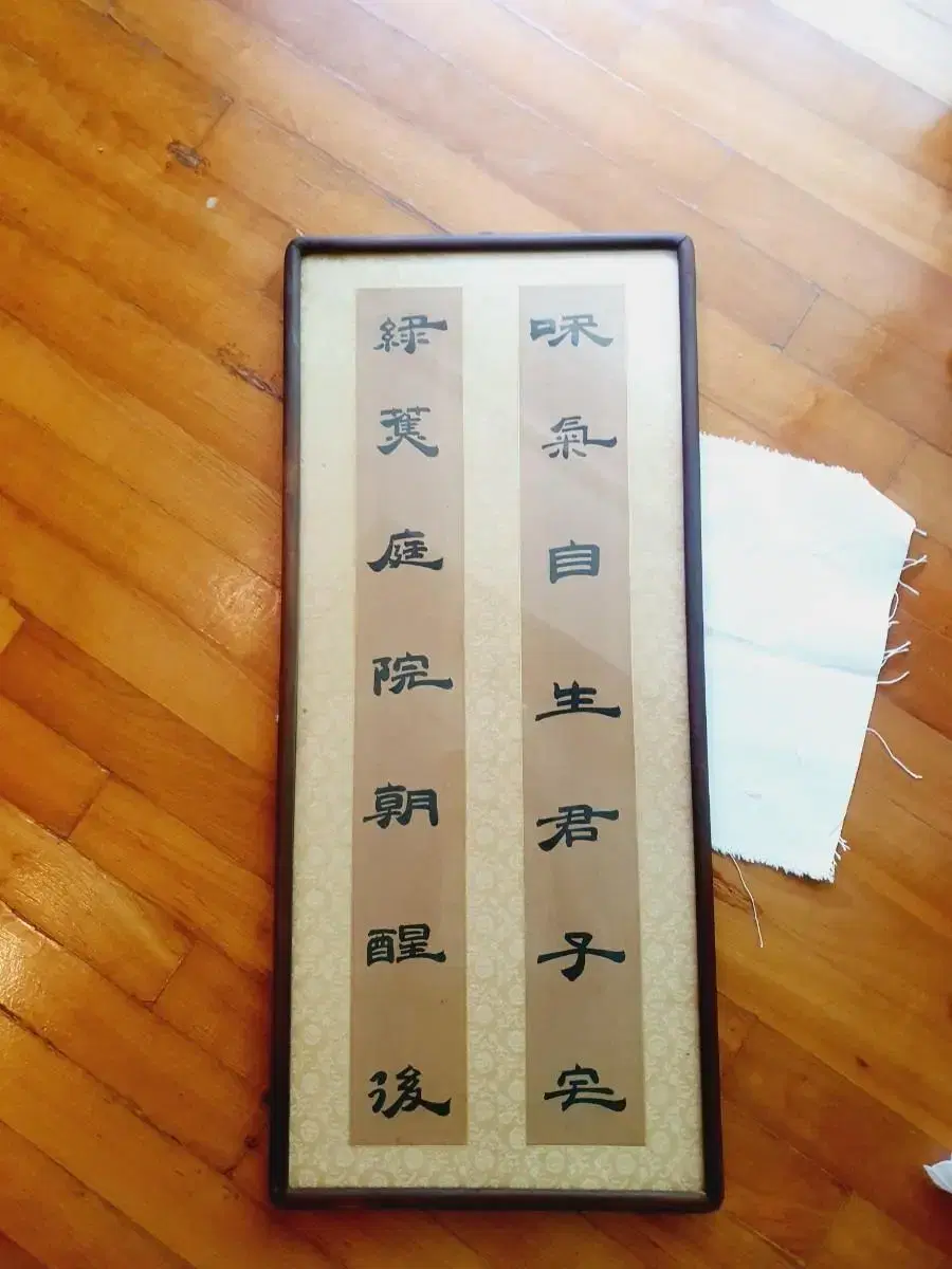 Scalpel (flagellation)