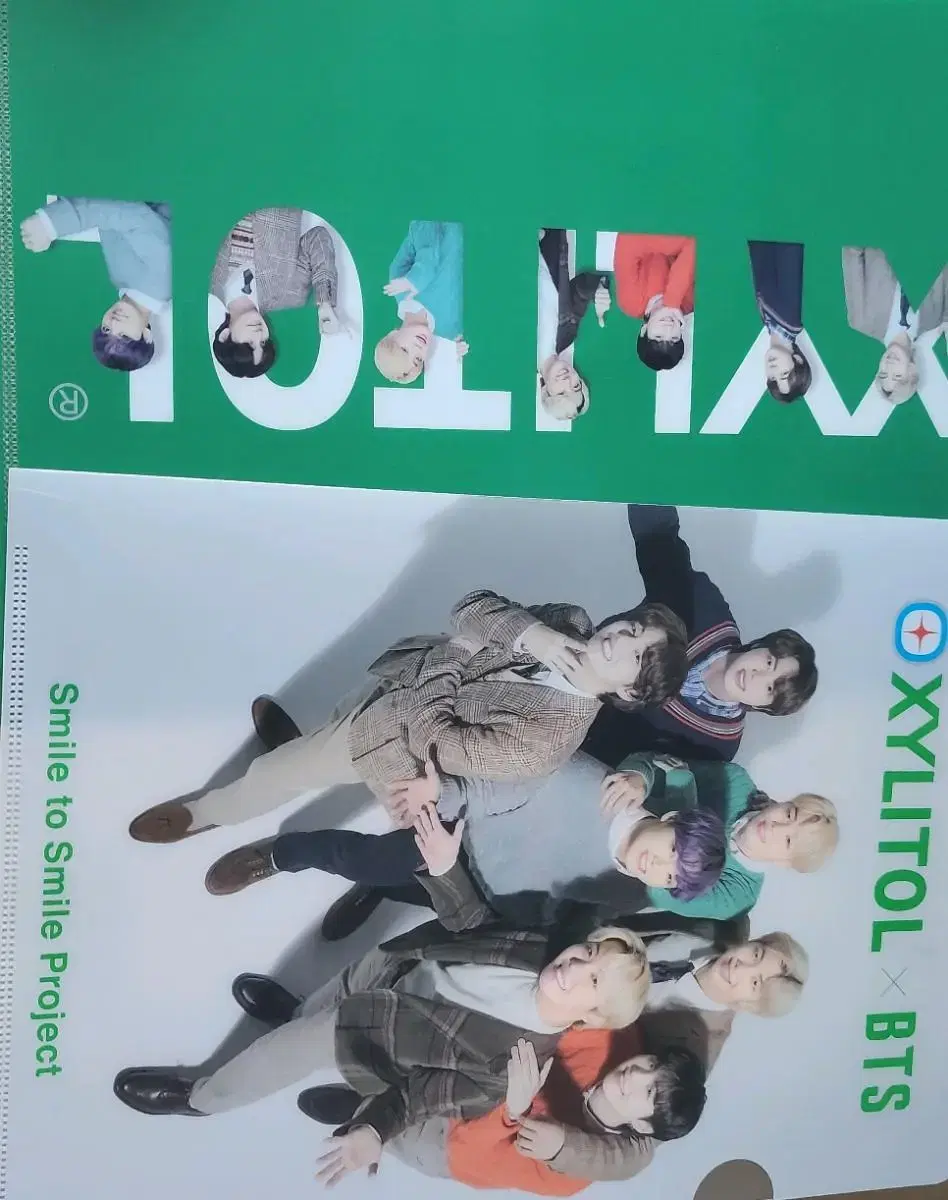 BTS Xylitol limited edition L-shaped file