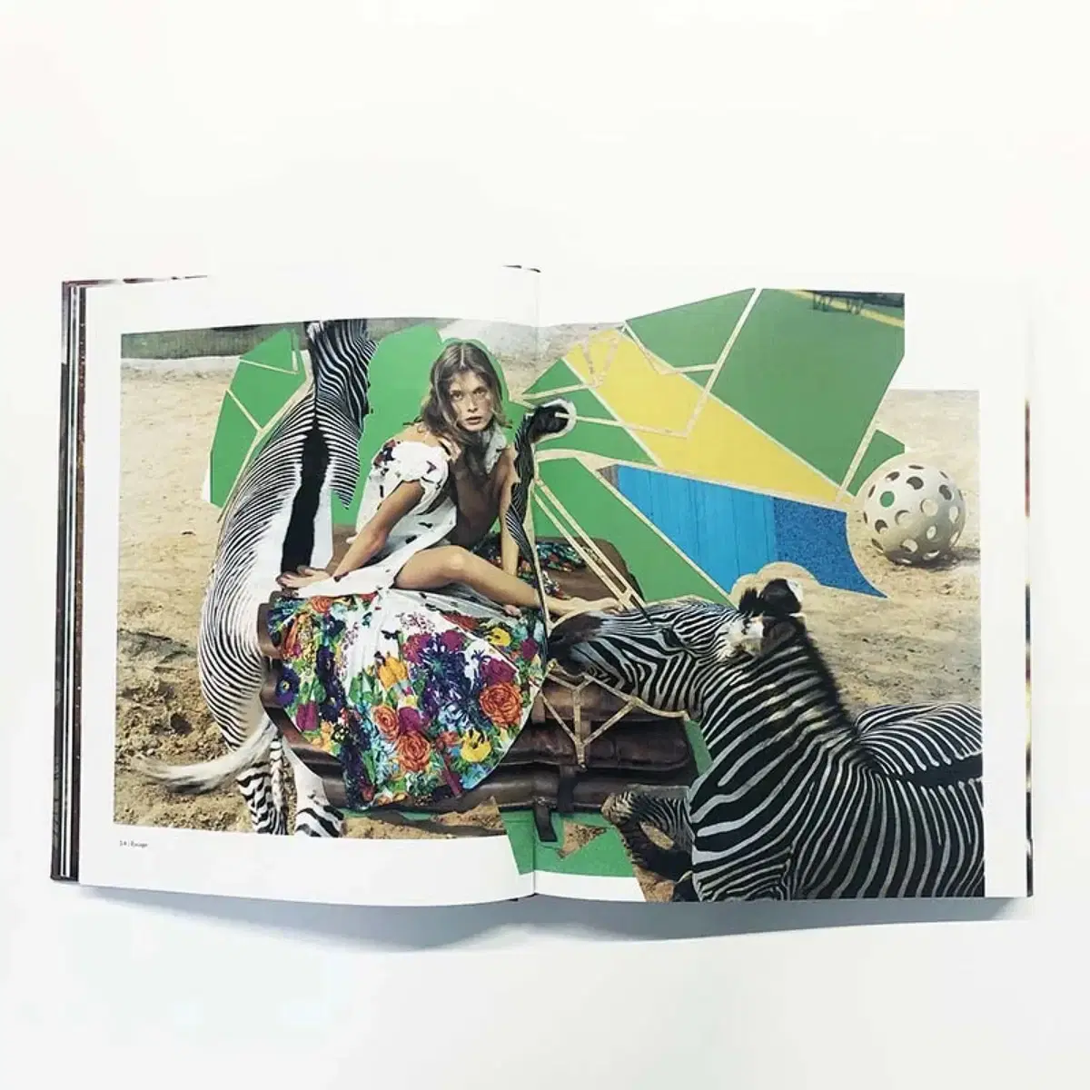 Kenzo Artbook 겐조 아트북 (절판본)