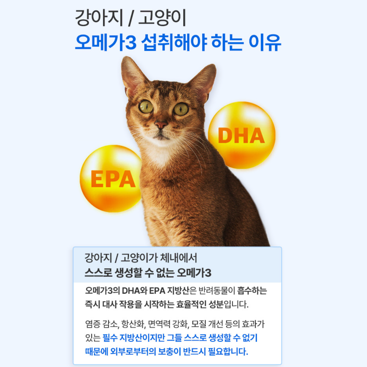 강아지 고양이 오메가3 30개 반려동물 반려용품 영양제