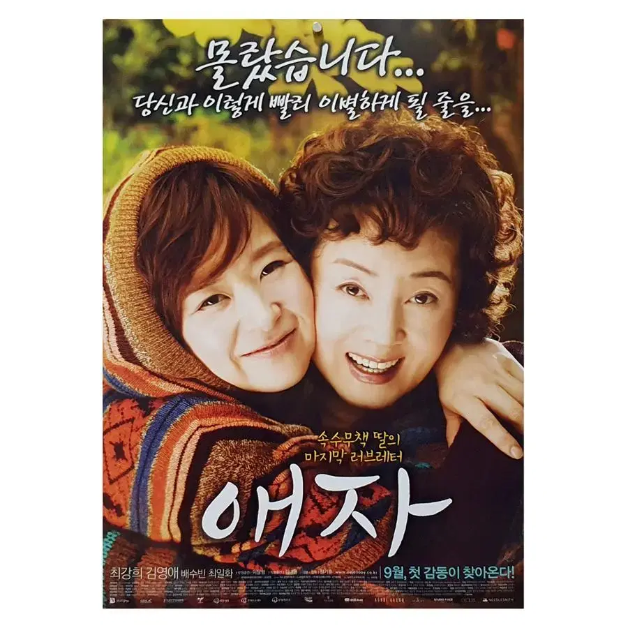 [영화 포스터] 애자 (2009)