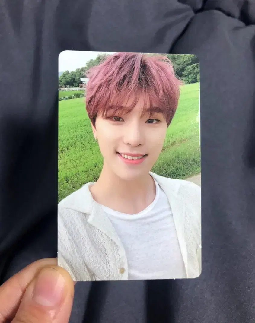 Seventeen Social Club Alpine dino photocard