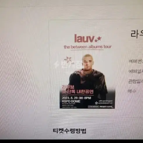 라우브  lauv