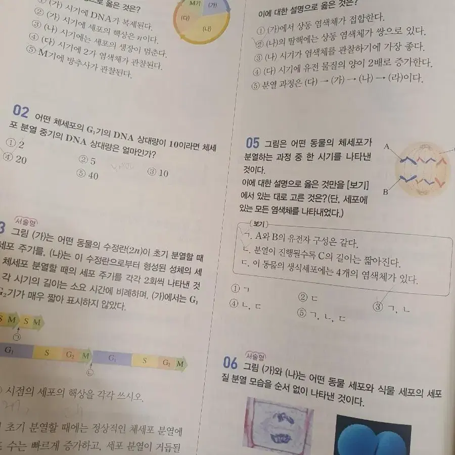 완자 지구과학 생명과학