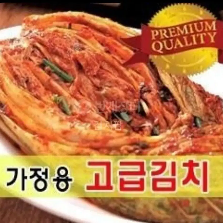 포기김치 5키로