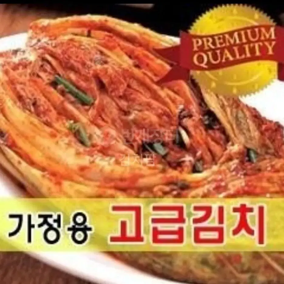 포기김치 10키로