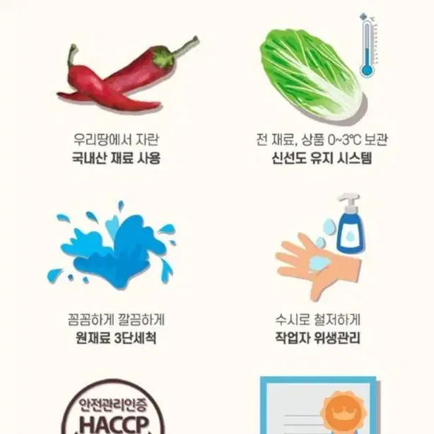 포기김치 10키로