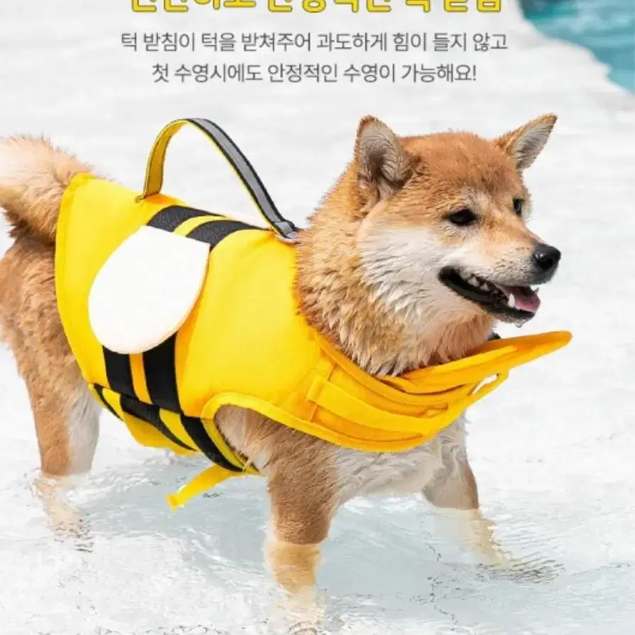 PET 강아지 꿀벌 구명조끼 여름 수영복 물놀이