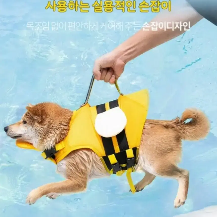 PET 강아지 꿀벌 구명조끼 여름 수영복 물놀이