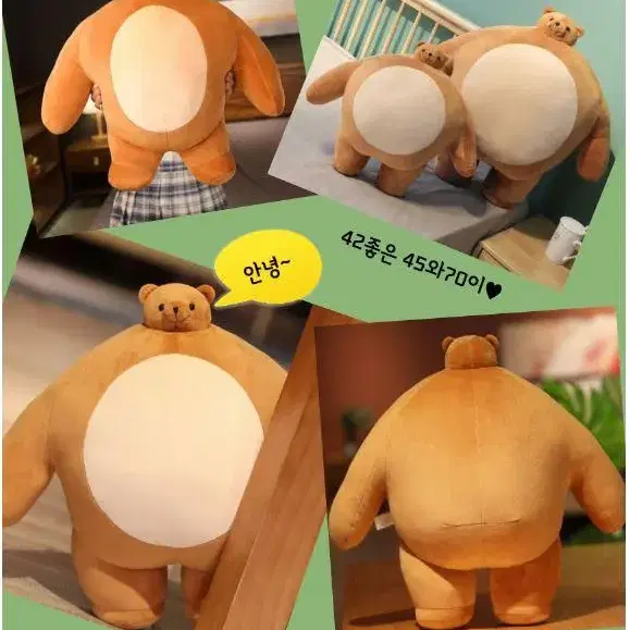 생일 선물 곰동석 어깡 곰돌이 소두 곰 인형 24cm 45cm