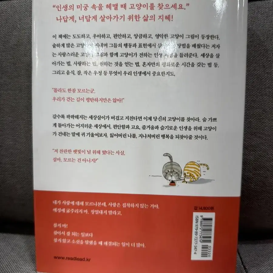 사랑한다면 거리를 두는게 좋아