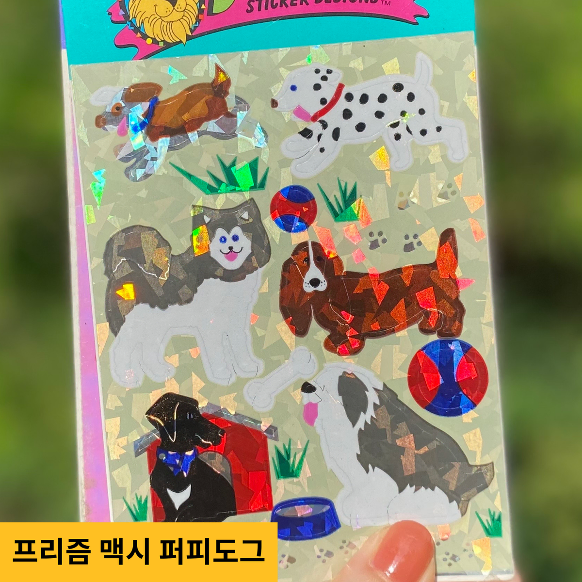 샌디라이온 닙 판매