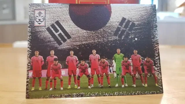 파니니 축구카드대한민국 축구카드