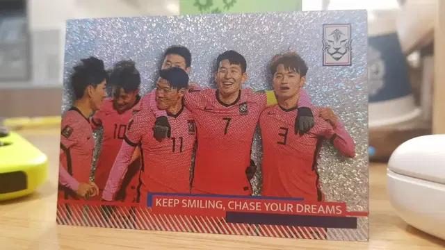 파니니축구카드 대한민국 축구카드