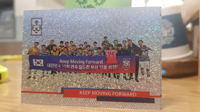 파니니 축구카드 대한민국 축구카드