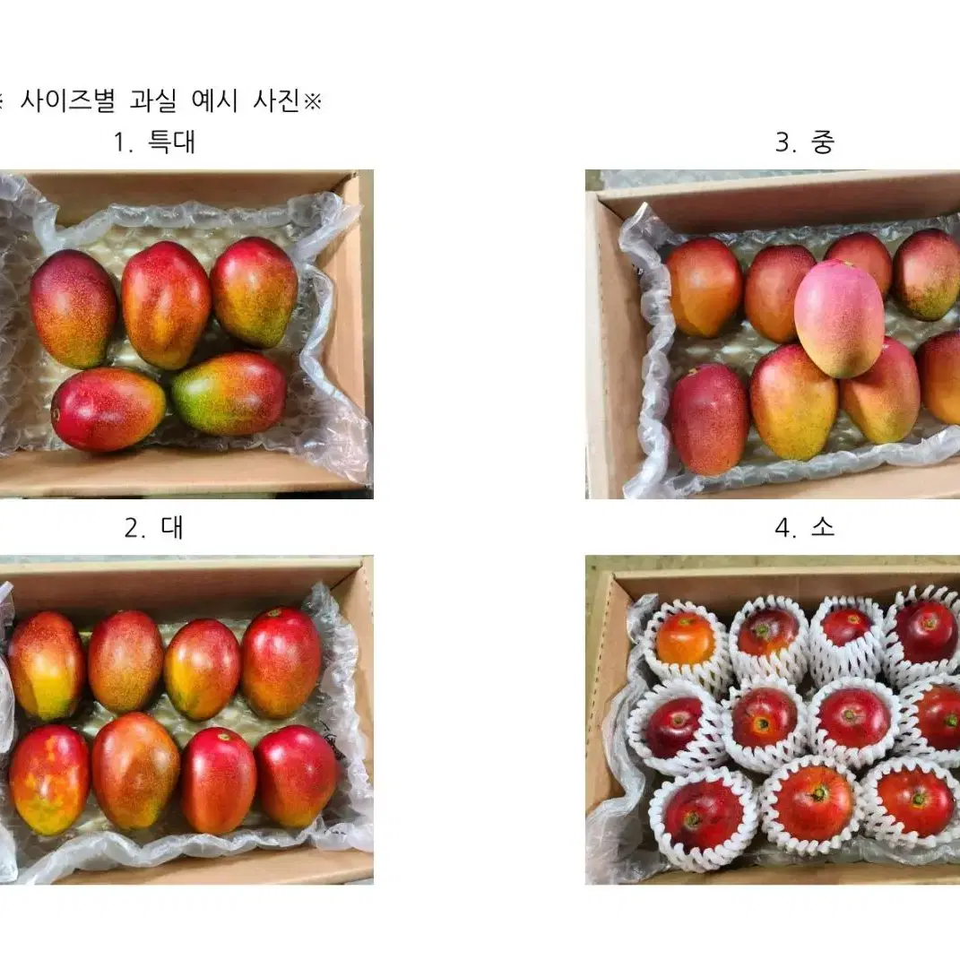 제주 애플망고 3kg 고당도 명품 특가