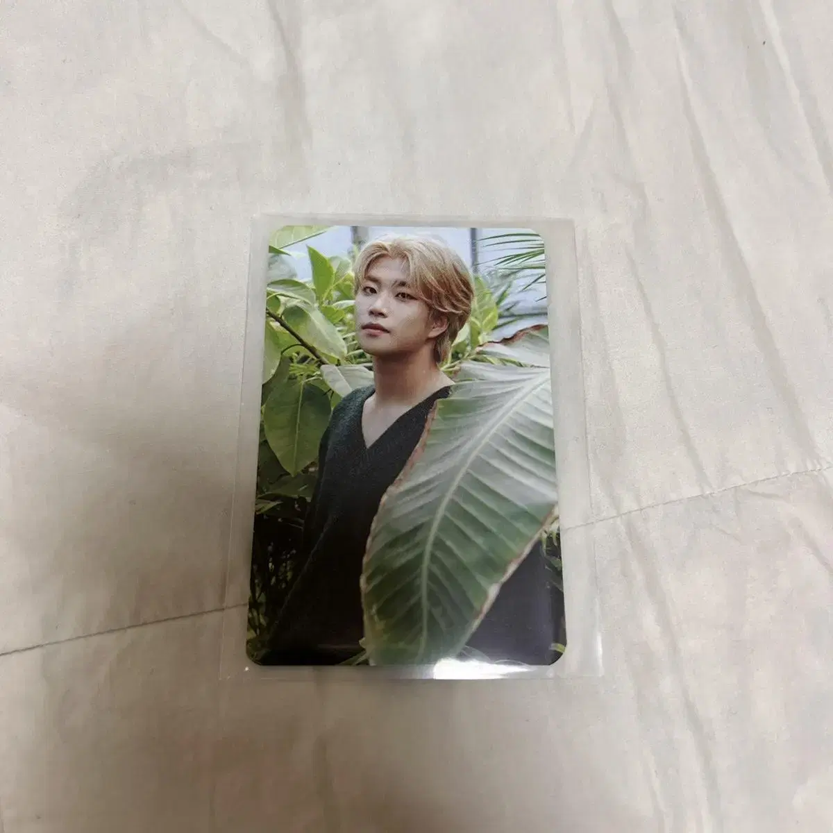 Astro mj <전화해> photocard sells