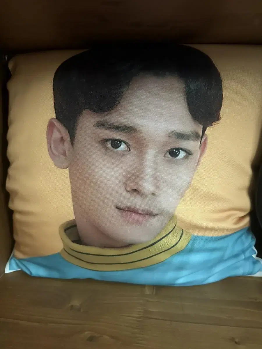 Exo chen Official Cushion Cover