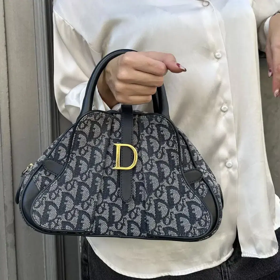 디올 트로터 핸드백 Dior Trotter Hand Bag