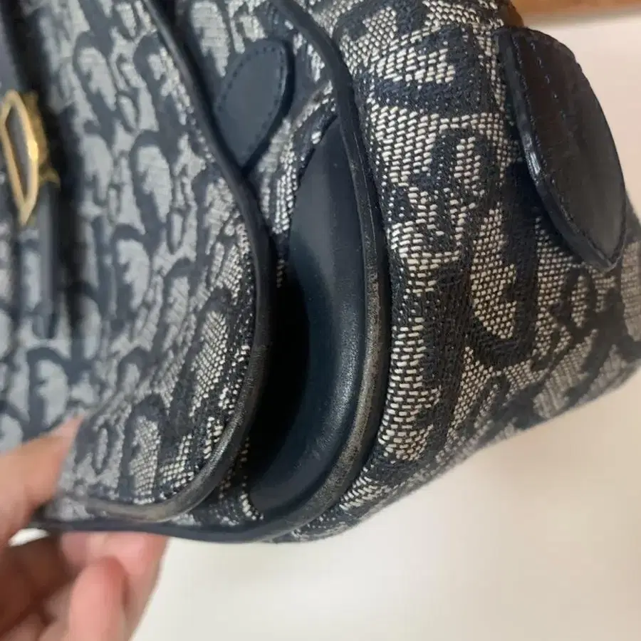 디올 트로터 핸드백 Dior Trotter Hand Bag