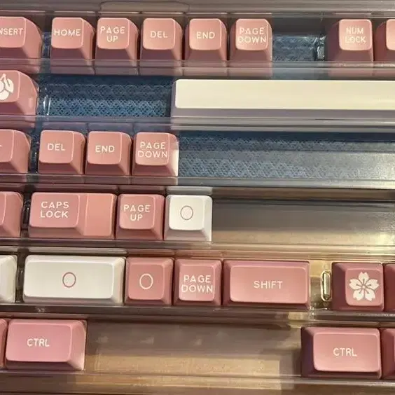 SA프로파일 /체리 mx스위치  /peony keycap (핑크색)