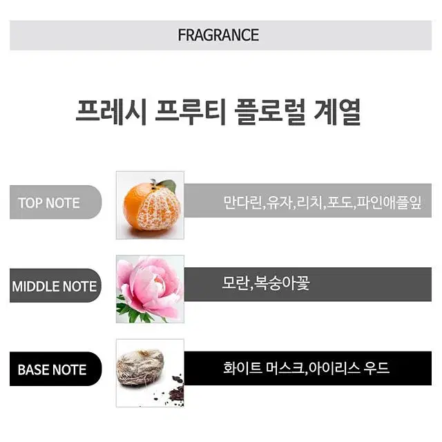 버버리 브리트 쉬어 50ml 여자 여성 명품 향수 특가 새상품