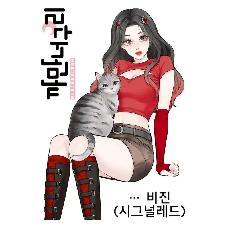 까만너구리 비진(6장)