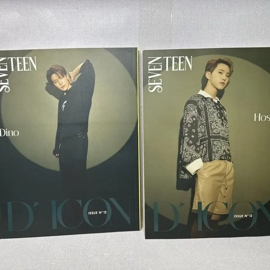 D-icon 디아이콘 vol.12 세븐틴 디노,호시 화보 북 총 2권