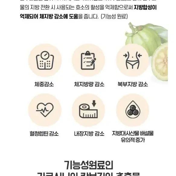 체지방감소커피 카페빼빼 커피 총50개