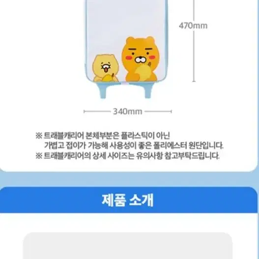 배스킨 카카오 라이언 춘식 캐리어 우체국택포