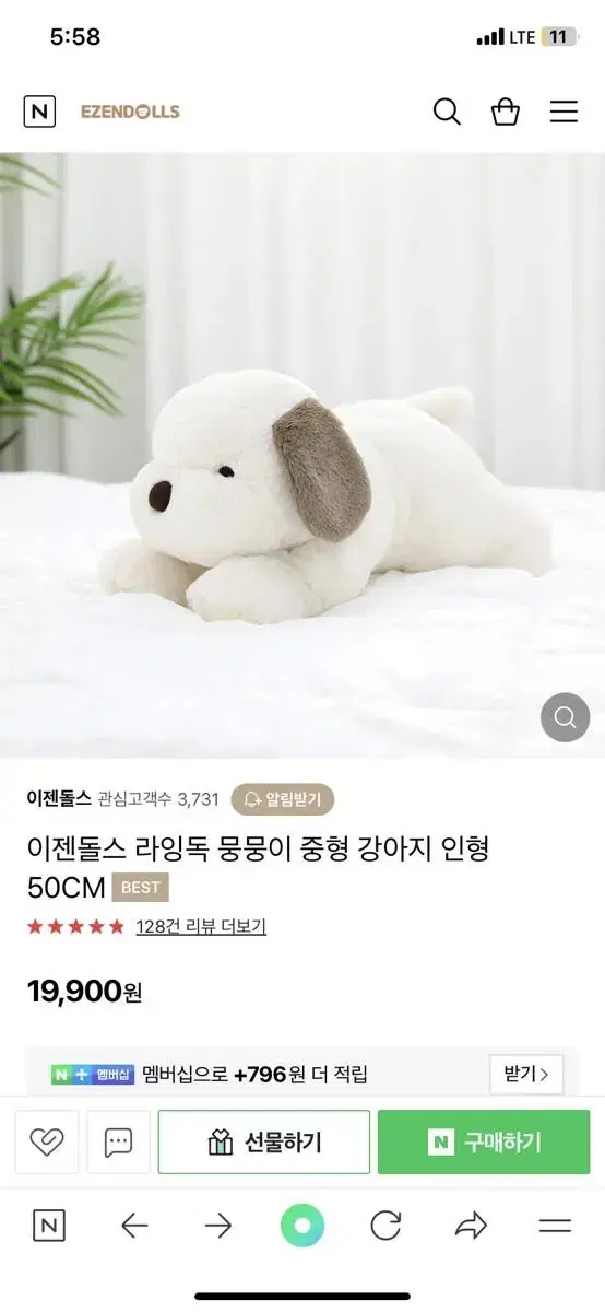 라잉독 50센치 새제품