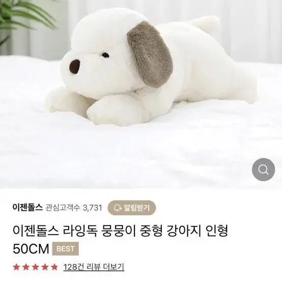 라잉독 50센치 새제품