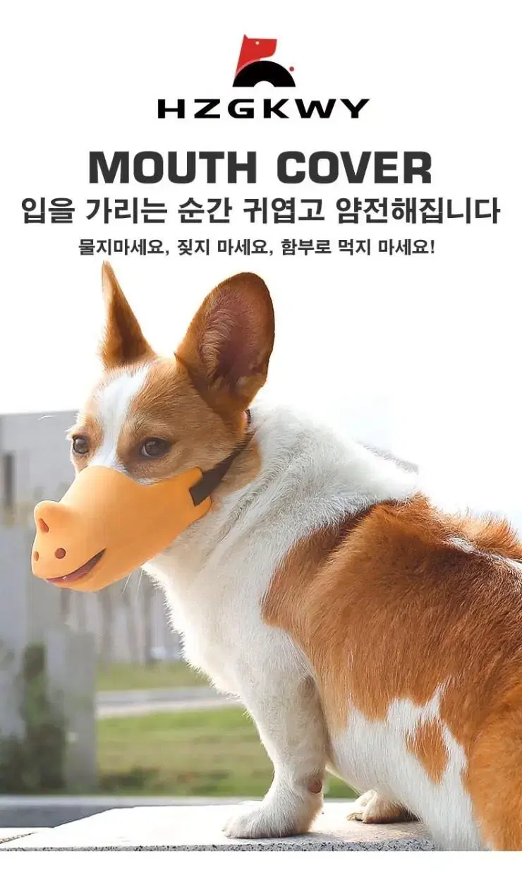 애완동물 실리콘 입마개