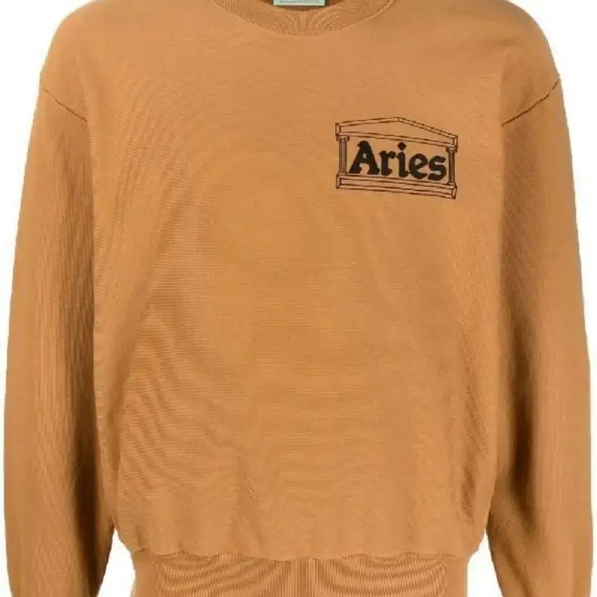 Aries premium temple sweatshirt