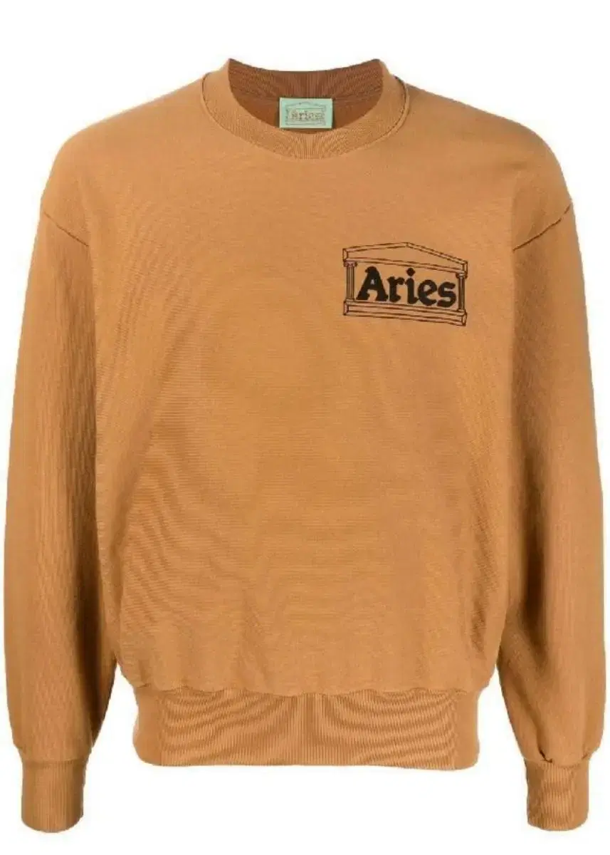 Aries premium temple sweatshirt