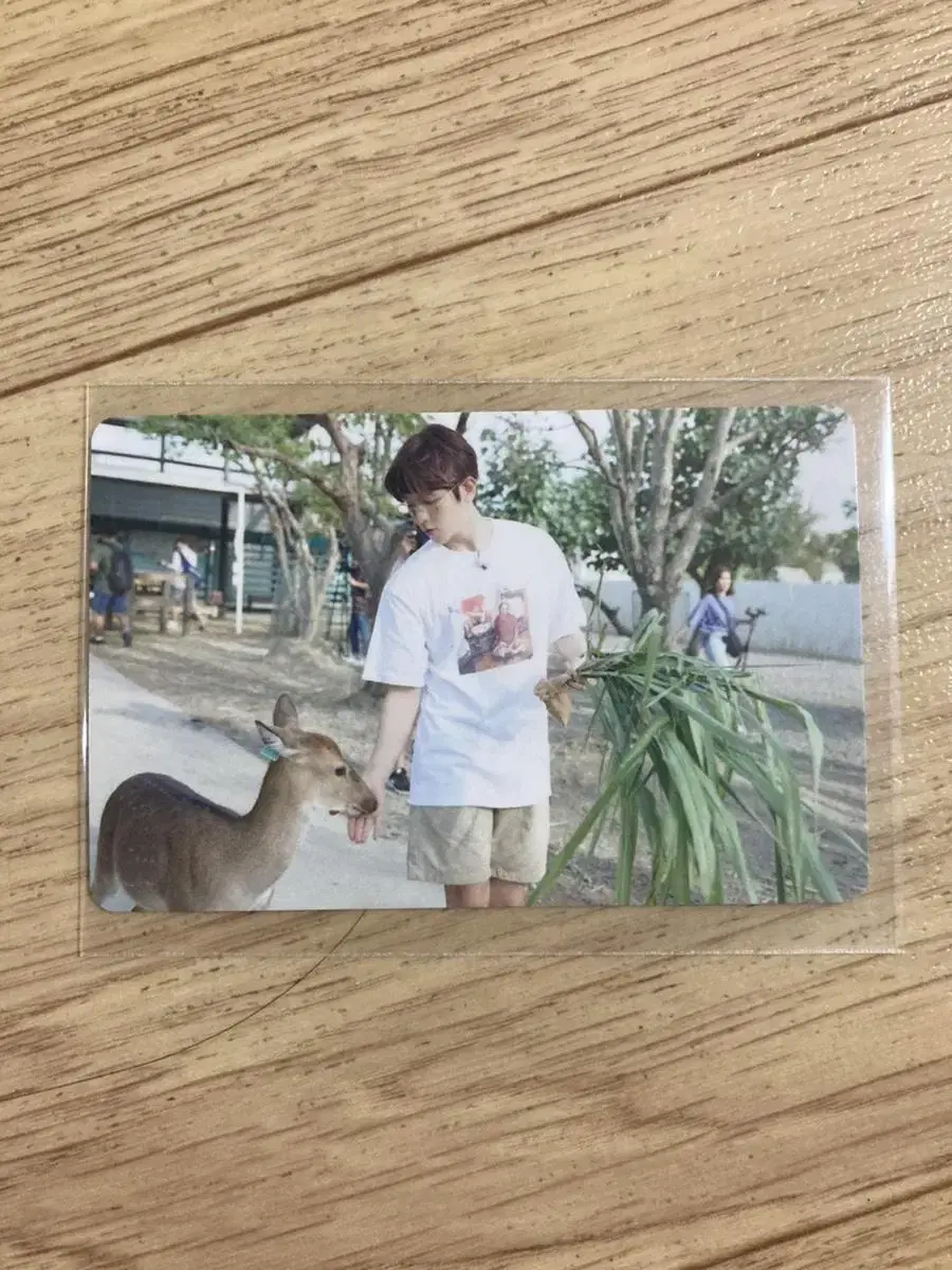 Exo baekhyun LadderTago World Travel photocard Torreka wts Sell