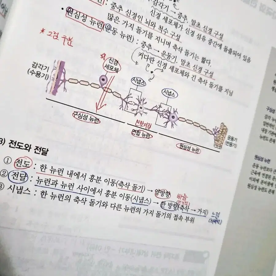 섬개완 백호T 생1 풀세트