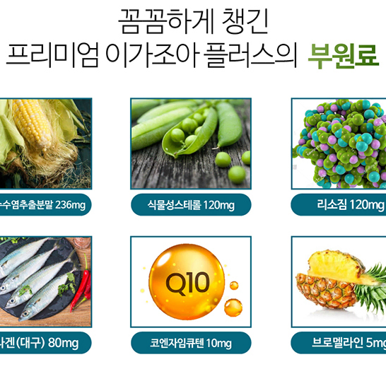 미국 직수입 치아 뼈건강 활성산소 칼슘 프로폴리스 비타민C 2개월분