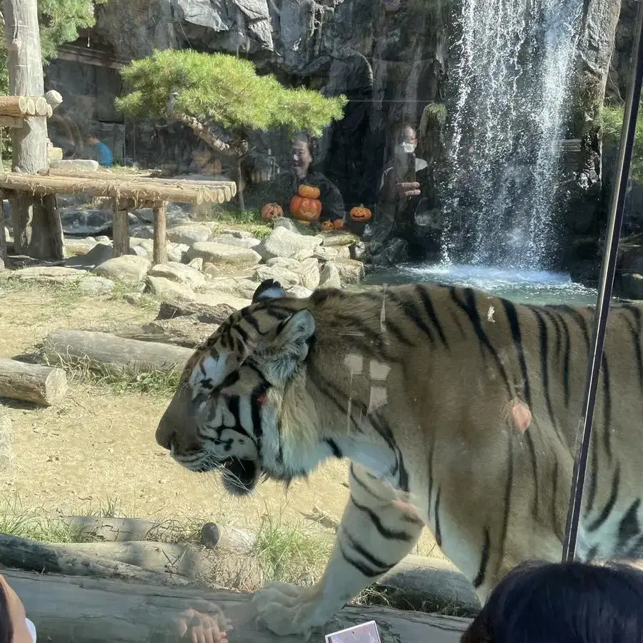 깊카 25000원 판매합니다