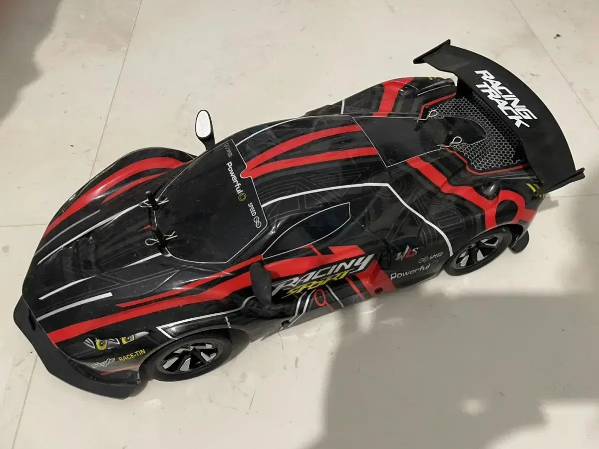 RC Car Large 1:10