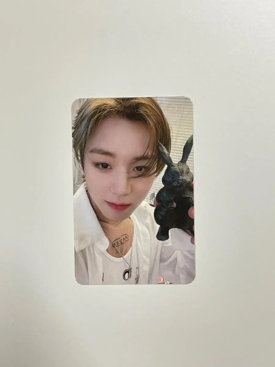 Blank or Black 박지훈 미공포