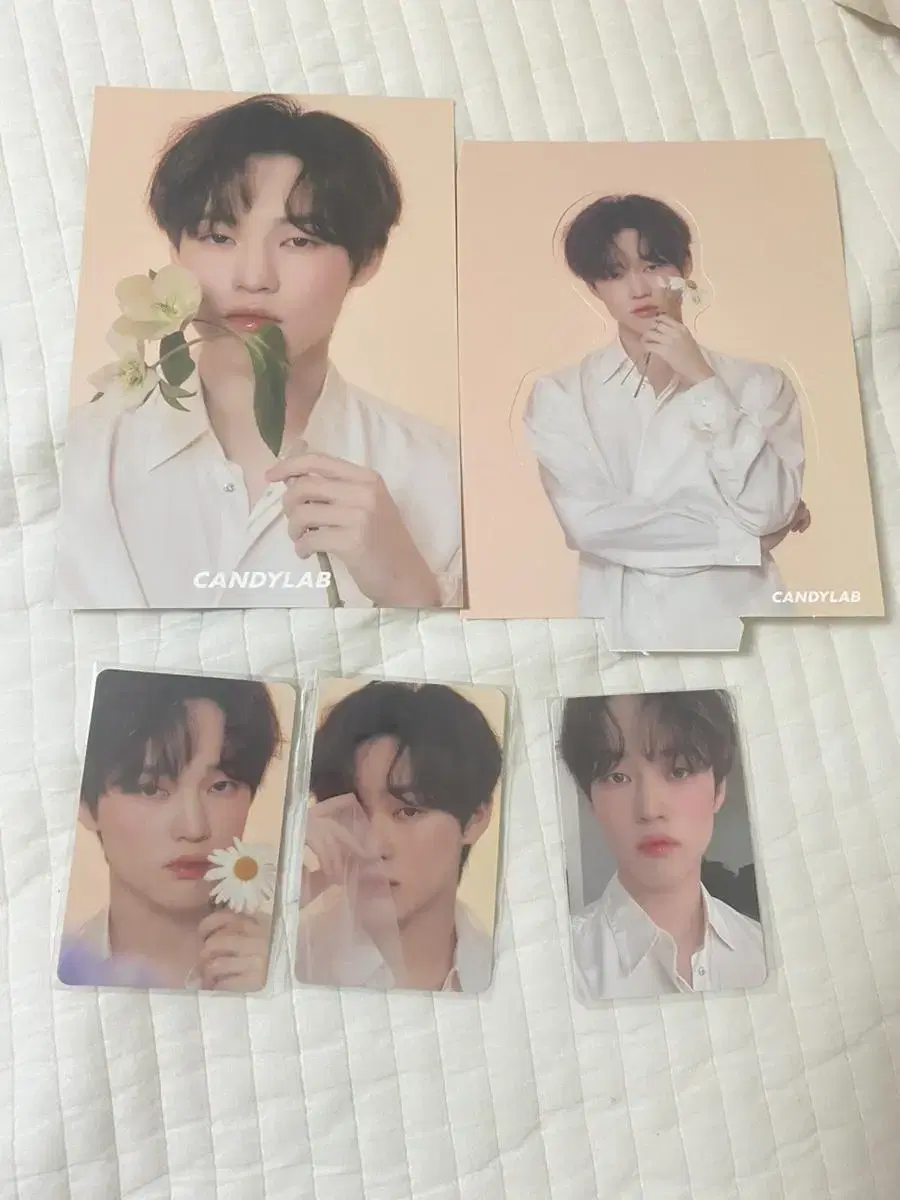 Candywrap chenle photocard