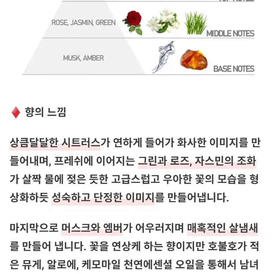 벨망 플라워 샤워 텀블벅 향수 유니콘 풀파티