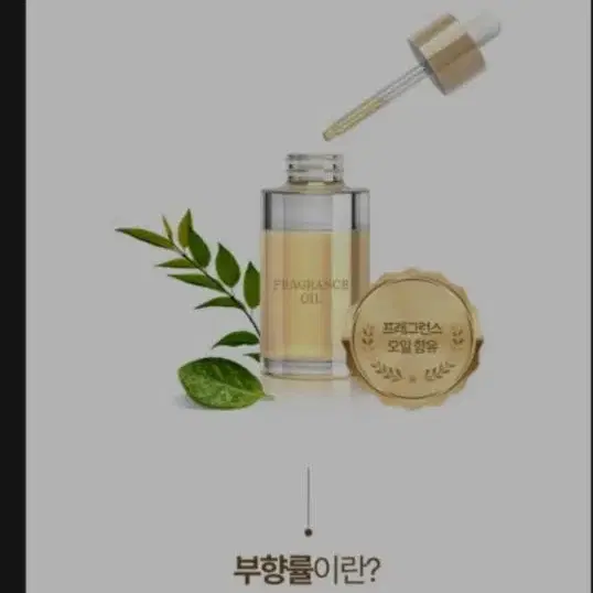 실내방향제 마크퓸디퓨저 리필500ml1병