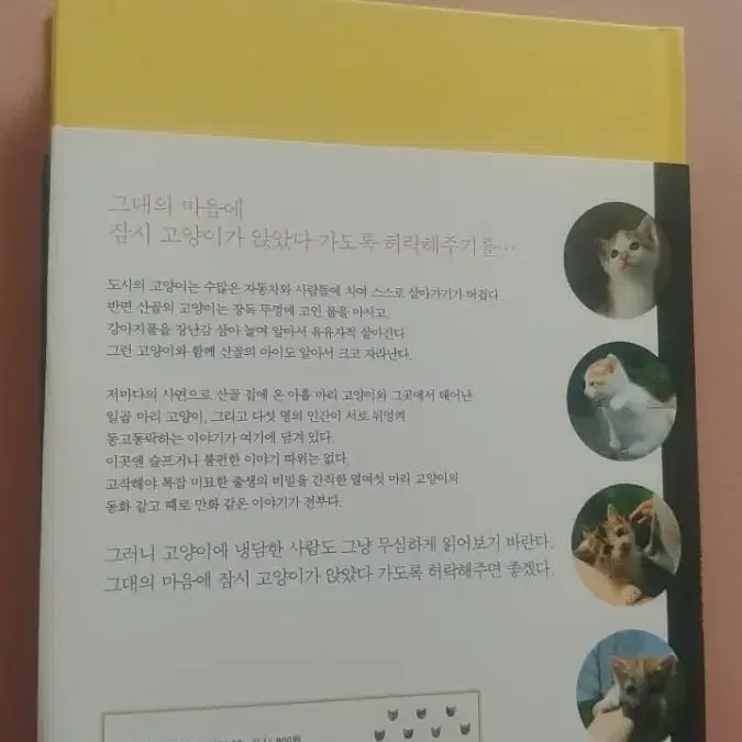 인간은 바쁘니까 고양이가 알아서 할께